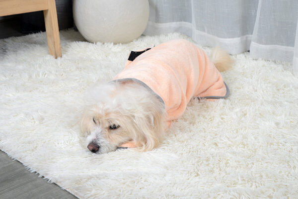 Microfiber Absorbent Quick-drying Pet Towel - Image 2