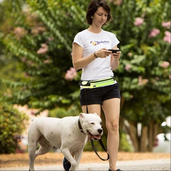 Hands Free Pet Walking And Training Belt - Image 3