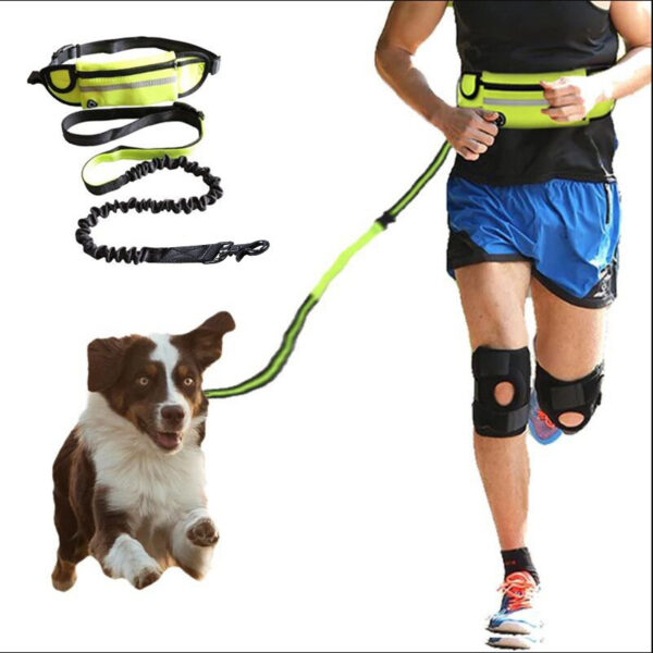 Hands Free Pet Walking And Training Belt